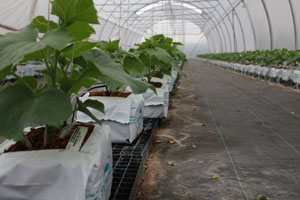 Direct From Aussie Farmers Direct From Aussie Farmers