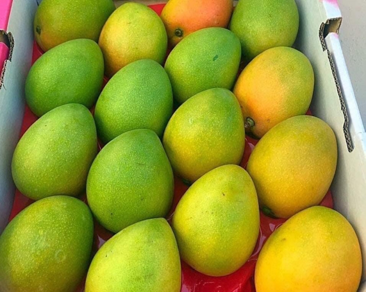 Direct From Aussie Farmers